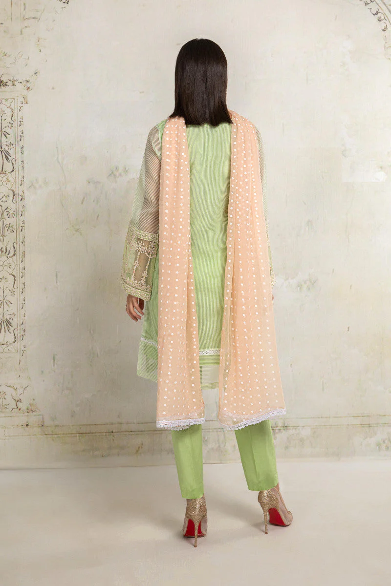 Suit Green DW-EA20-20 - Image 3