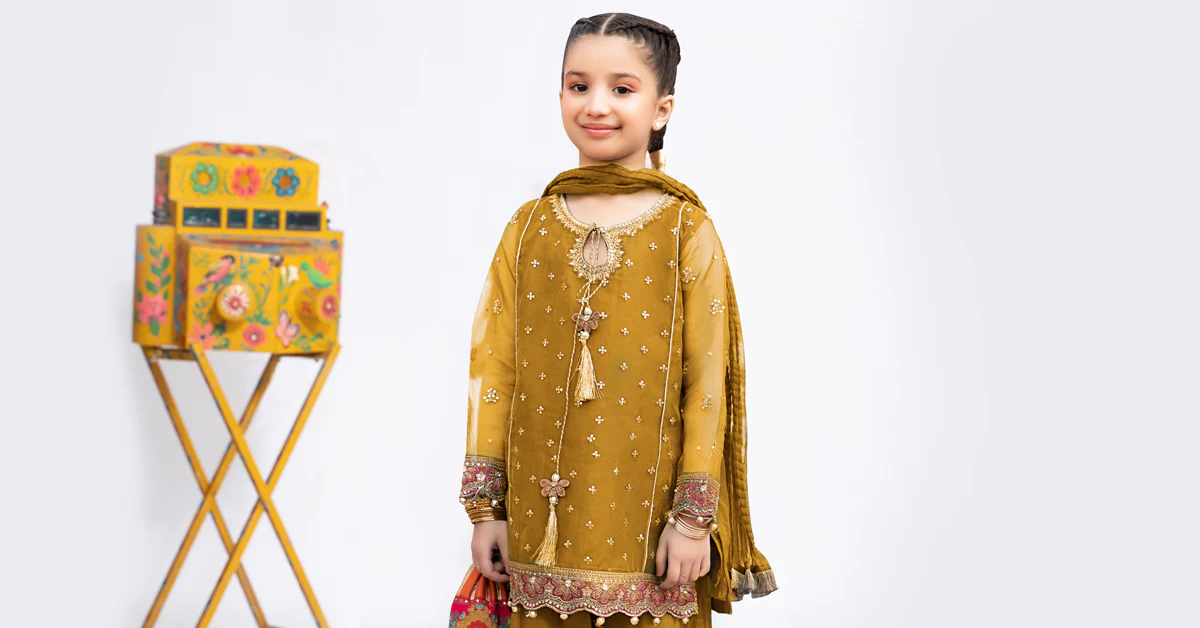 3 Piece Embroidered Organza Suit - Image 6