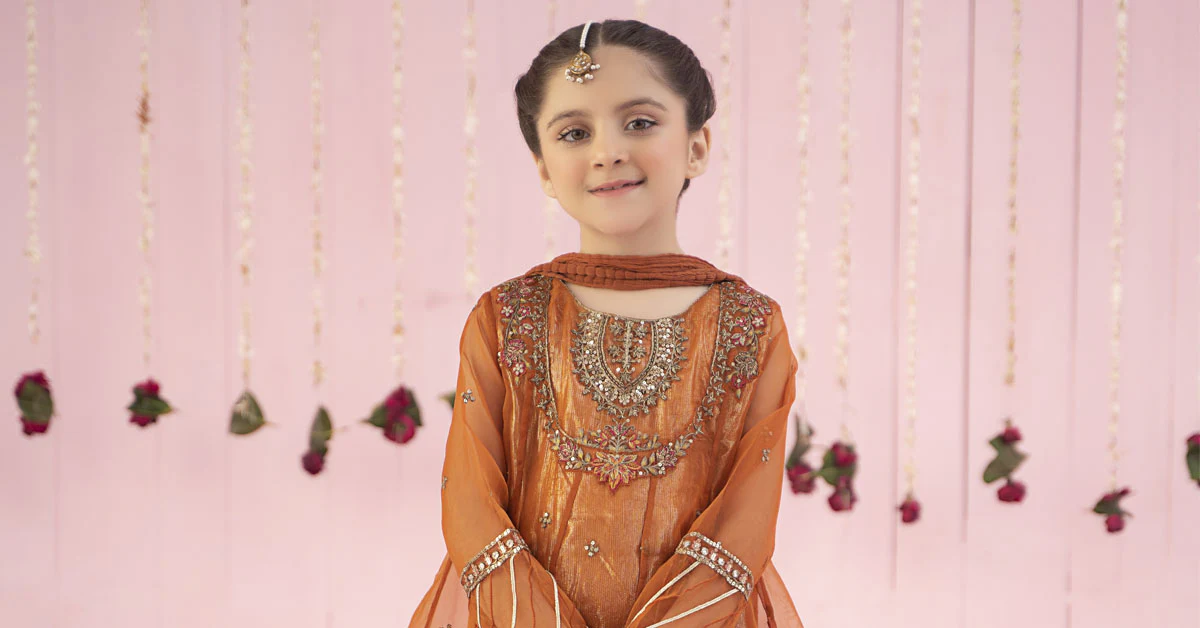 3 Piece Embroidered Organza Suit - Image 9